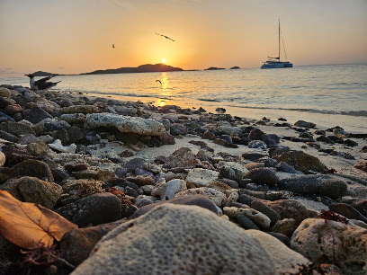 Croisière Evasion - Catamaran D'hôtes Côte D'azur - Corse/Sardaigne, Agence De Croisière à Hyères