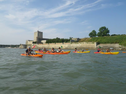Antioche Kayak Agence De Croisière à Fouras